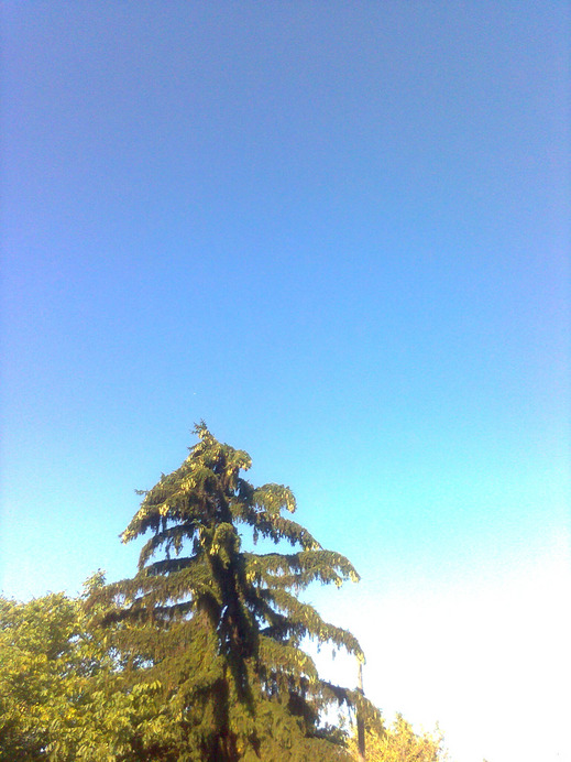 Ercsi