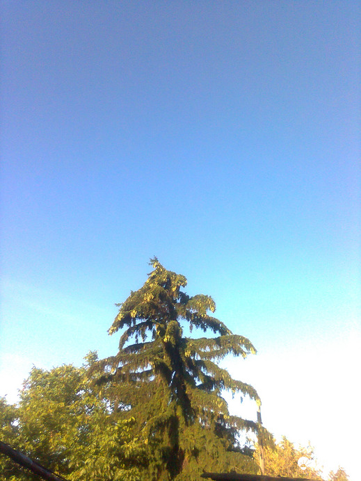 Ercsi