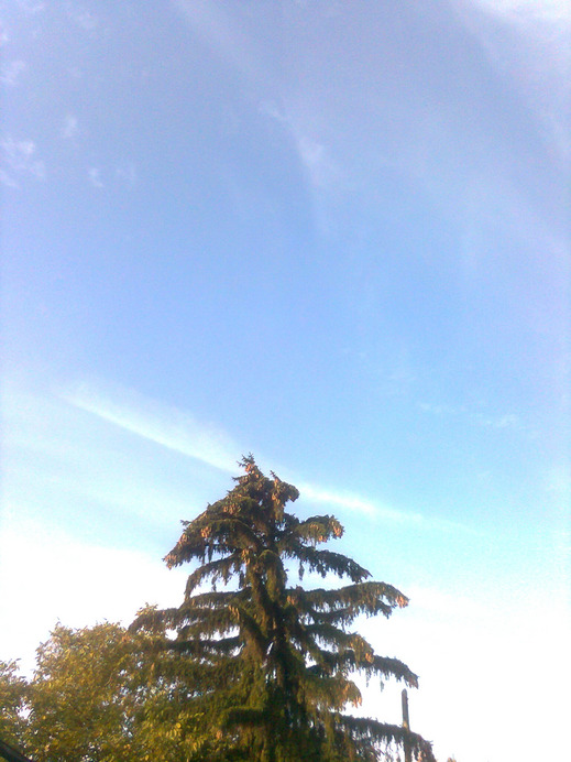 Ercsi