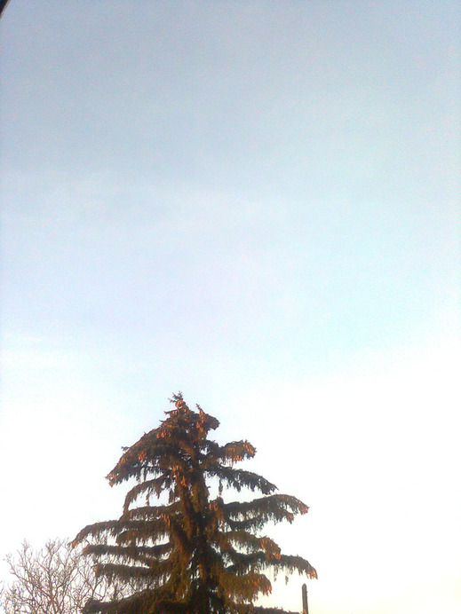 Ercsi
