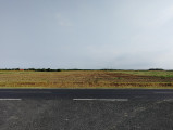Szilsárkány