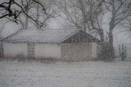 2026.02.03. Csongrád külterület