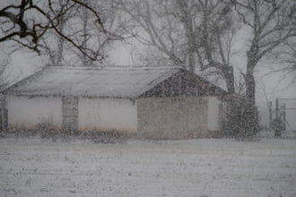 2026.02.03. Csongrád külterület