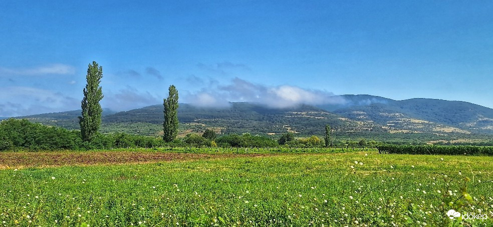 Abasár