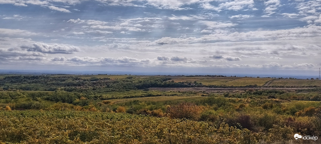 Abasár