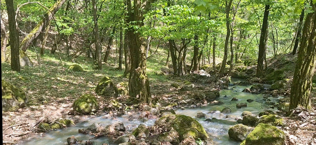 Domoszló