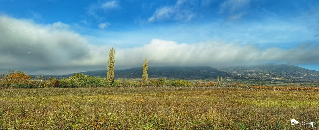 Abasár