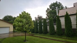 Nyírpazony