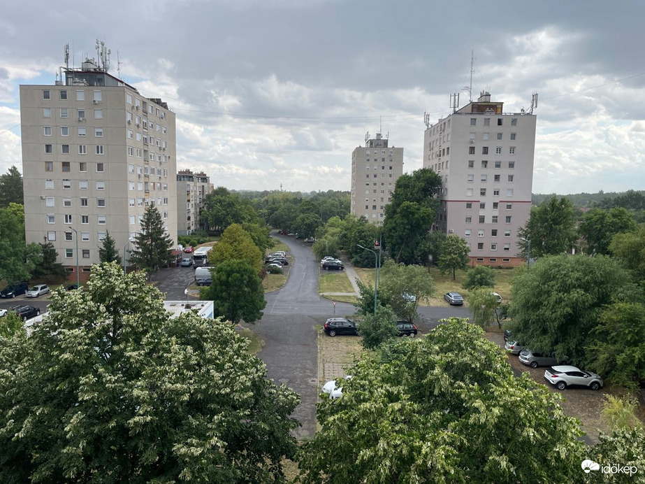 Gyula