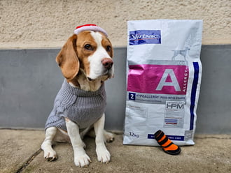 Amerre jár reggelig kiscipőcske megtelik. :)