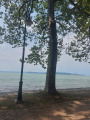 Balatonföldvár