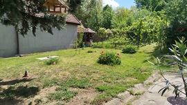 blek fotója