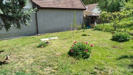 blek fotója