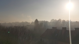 Ködös reggel