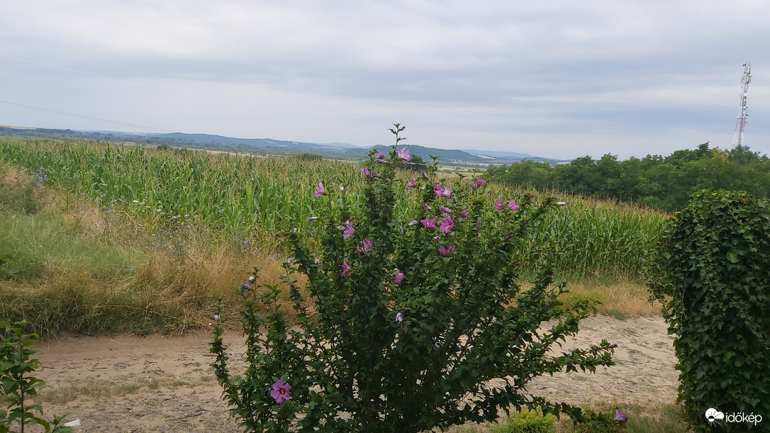 Kilátás "új " otthonunkból...