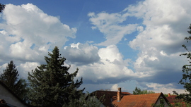 blek fotója