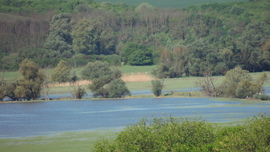 blek fotója