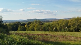 blek fotója