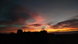 blek fotója