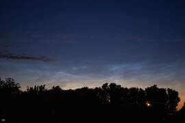 Neszmély - NLC 2