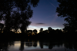 Neszmély NLC