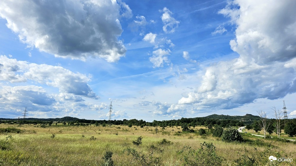 Zalahaláp