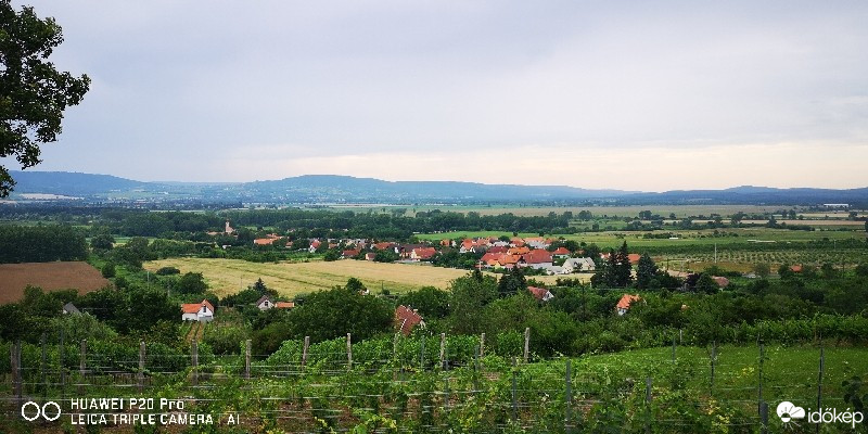 Raposka