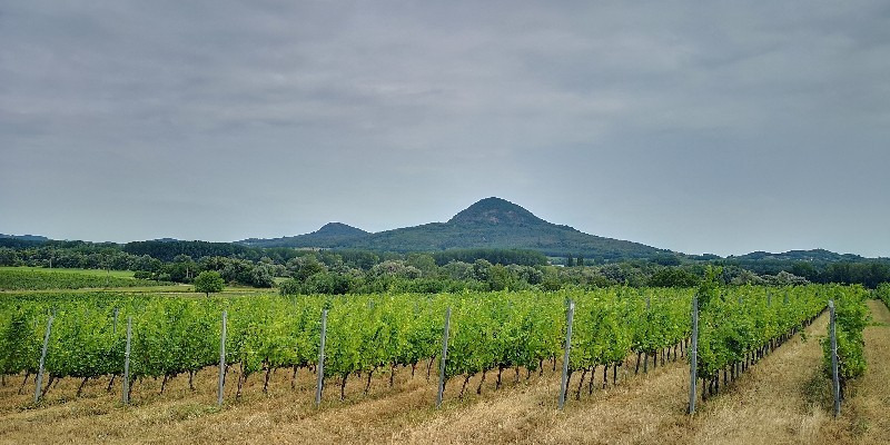 Tapolca