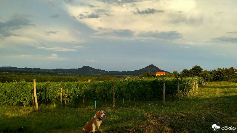 Kisapáti