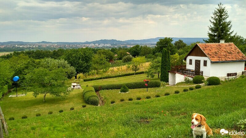 Kisapáti