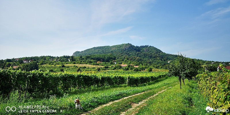 Kisapáti