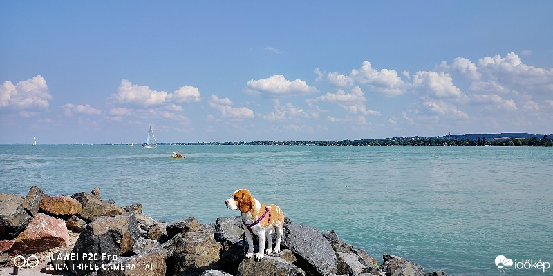 Tihany