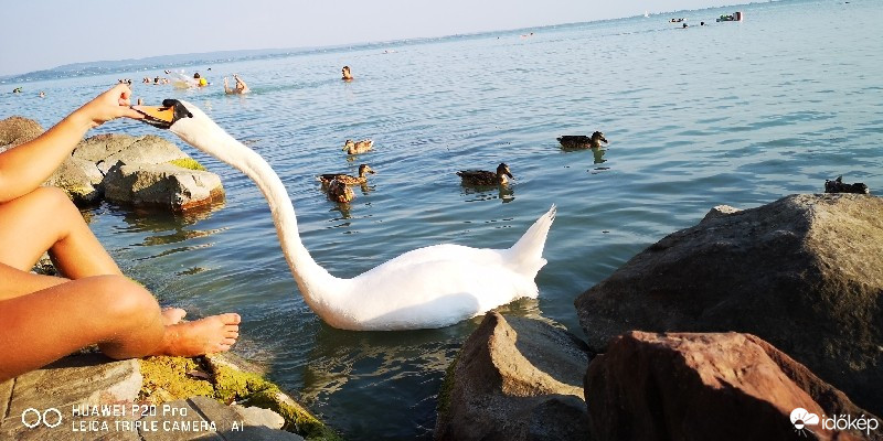 Balatonrendes