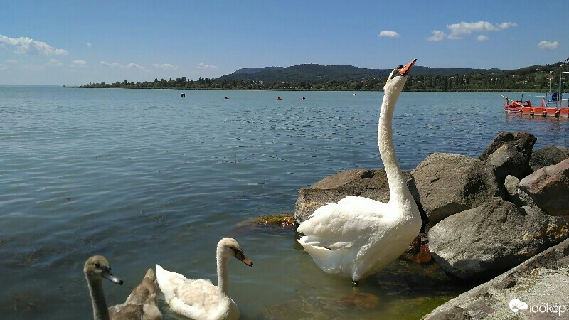 Balatonrendes