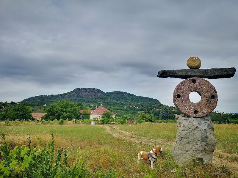 Kisapáti