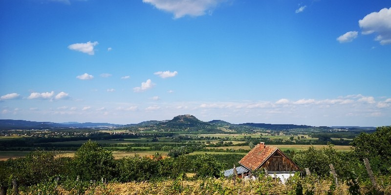 Kisapáti