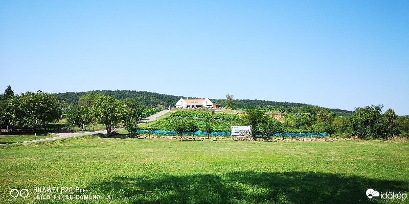 Balatonrendes