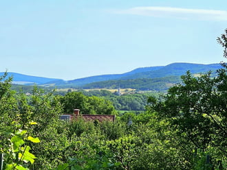Kisapáti