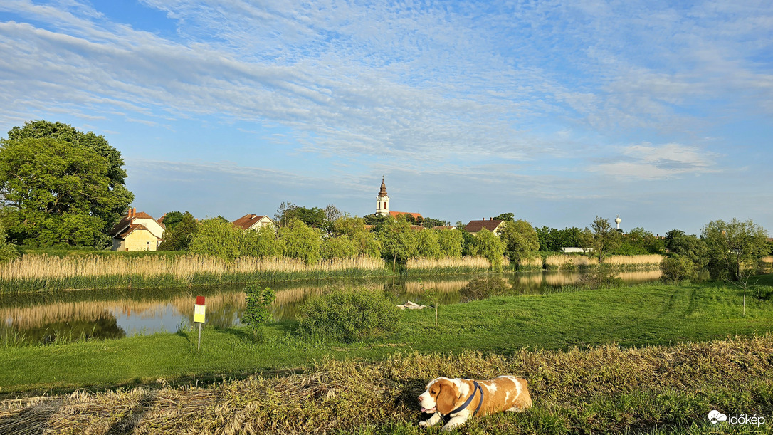 Jászjákóhalma