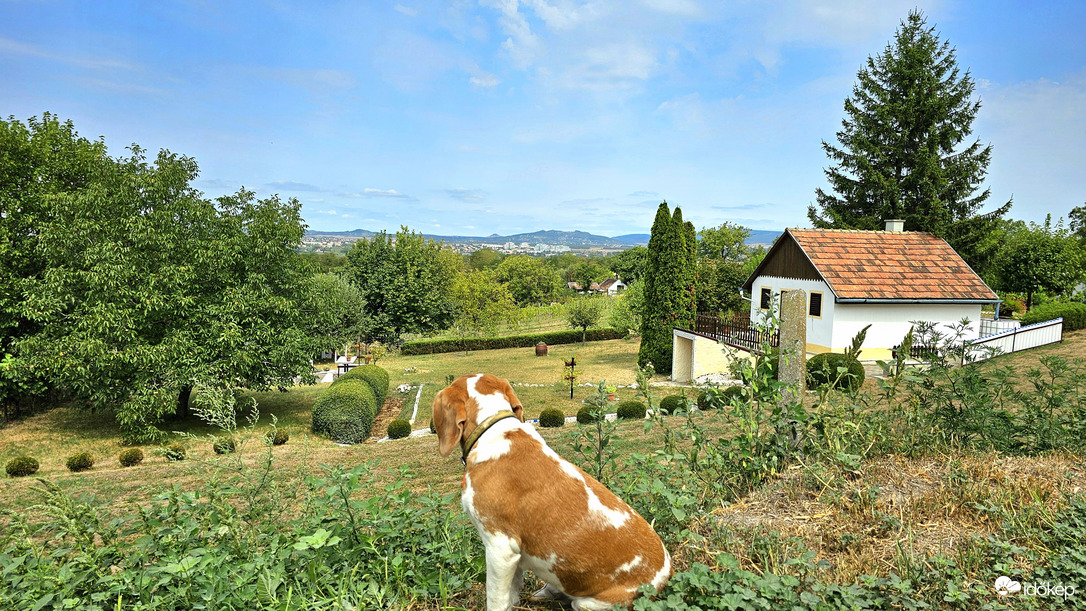 Őszt idéző nyárutó