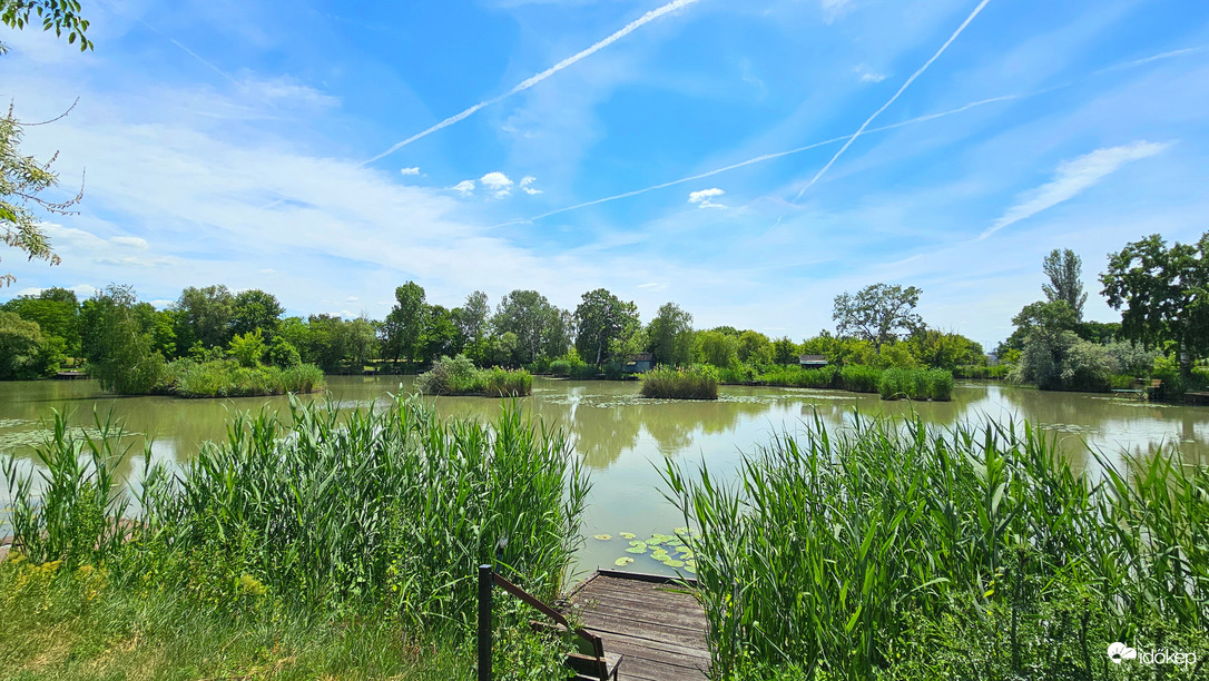 Nyári tükröződés