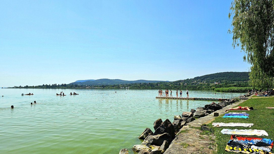 Pálköve