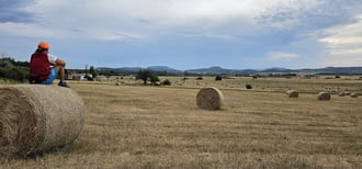Semmiben merengés
