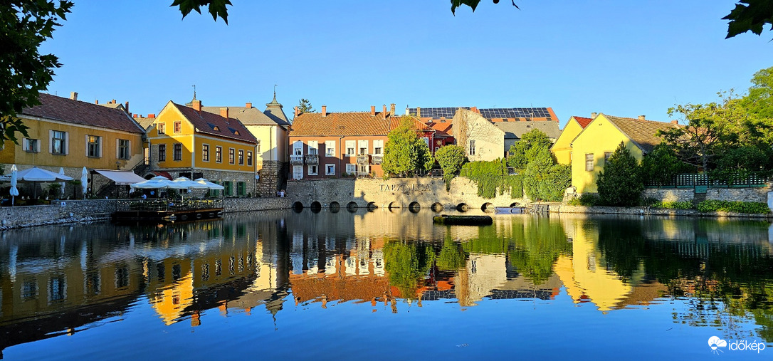 Kiröppenő galamb