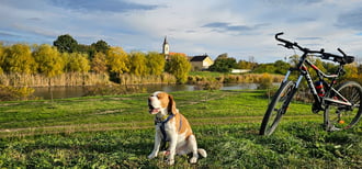 Frontérzékeny túratárs