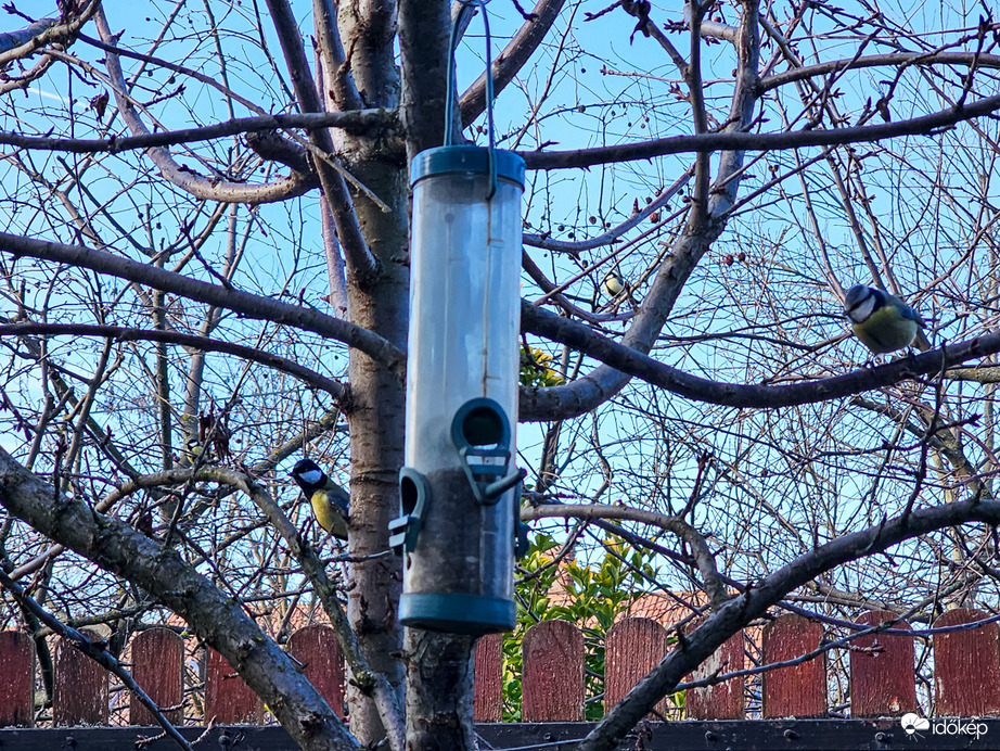 Stratégiai megbeszélés ebéd előtt: Ki megy előre?