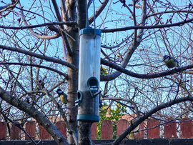 Stratégiai megbeszélés ebéd előtt: Ki megy előre?