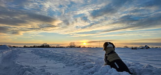 A Tél Őre: Csodára várva