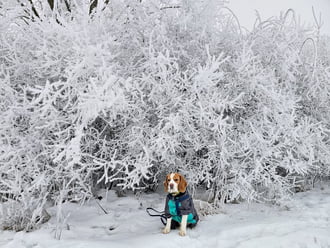 Elveszve Kristályországban