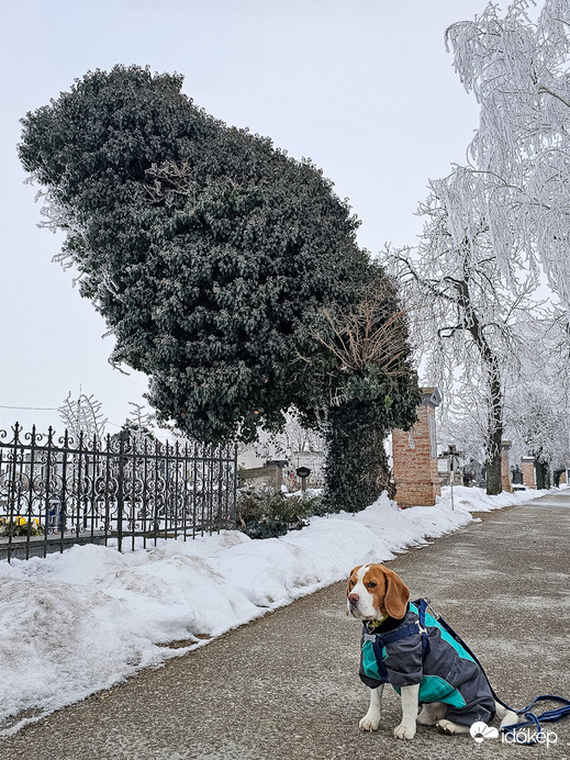 Szemtől szemben az Egérkirállyal